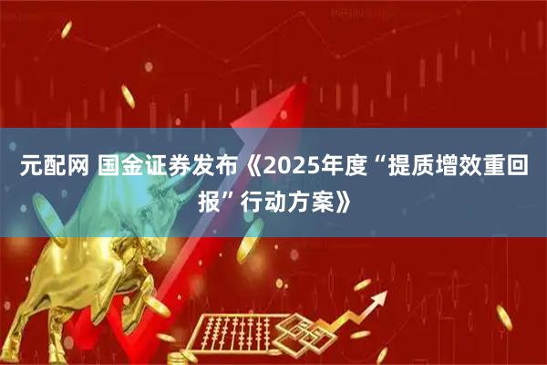 元配网 国金证券发布《2025年度“提质增效重回报”行动方案》
