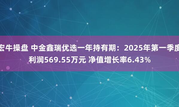 宏牛操盘 中金鑫瑞优选一年持有期：2025年第一季度利润569.55万元 净值增长率6.43%