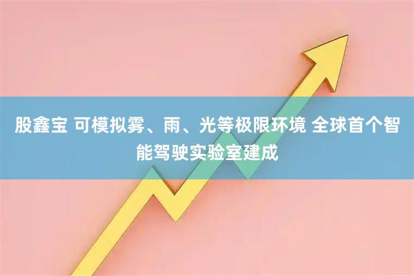 股鑫宝 可模拟雾、雨、光等极限环境 全球首个智能驾驶实验室建成